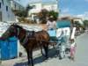 dsc00102_small.jpg