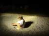 dsc02163_small.jpg