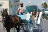 dsc_0027_small.jpg