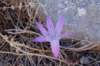 dsc_0197_small.jpg