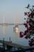 dsc_0735_small.jpg
